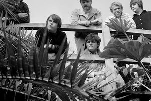 The Beach Boys