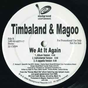Timbaland & Magoo - We At It Again