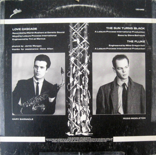 Leisure Process - Love Cascade