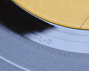 The Mothers - Fillmore East, June 1971 Vinyl Record