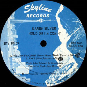 Karen Silver - Hold On I'm Comin'