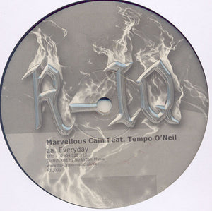 Marvellous Cain - The Hitman (DJ Hype Remix) / Everyday - 2004