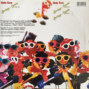 Biz Markie - Spring Again