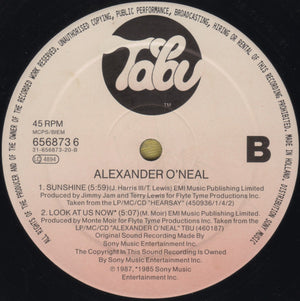 Alexander O'Neal - Shame On Me