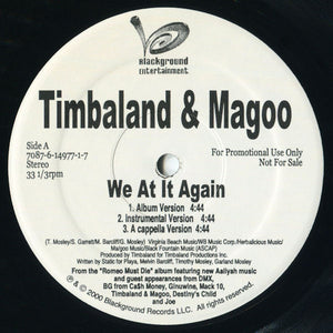 Timbaland & Magoo - We At It Again