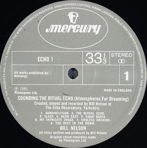 Bill Nelson - Quit Dreaming And Get On The Beam / Sounding The Ritual Echo (Atmospheres For Dreaming) - 1981