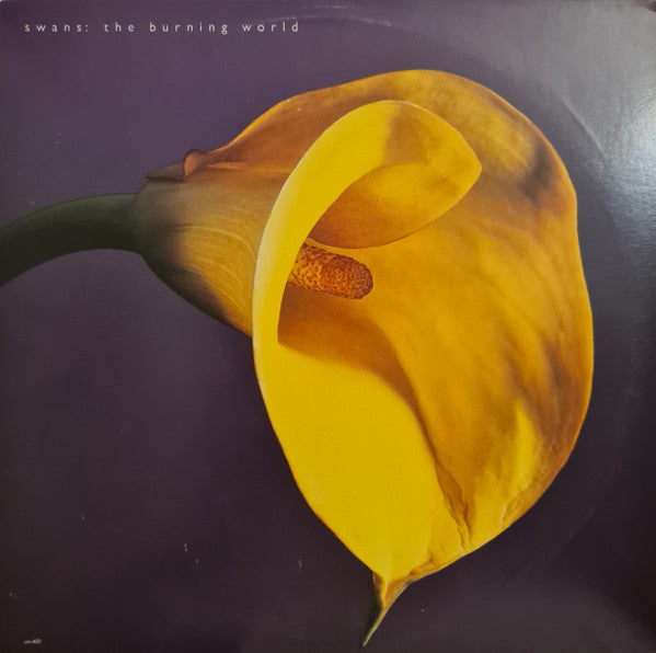 Swans - The Burning World - 1989