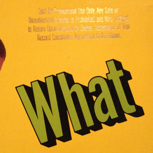 Ice-T - What Ya Wanna Do?