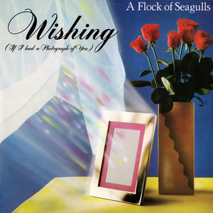 A Flock Of Seagulls - Wishing (If I Had A Photograph Of You) - 1982