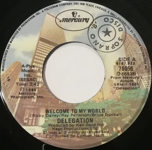 Delegation - Welcome To My World / Heartache No.9 - 1980