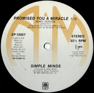 Simple Minds - Promised You A Miracle - 1982