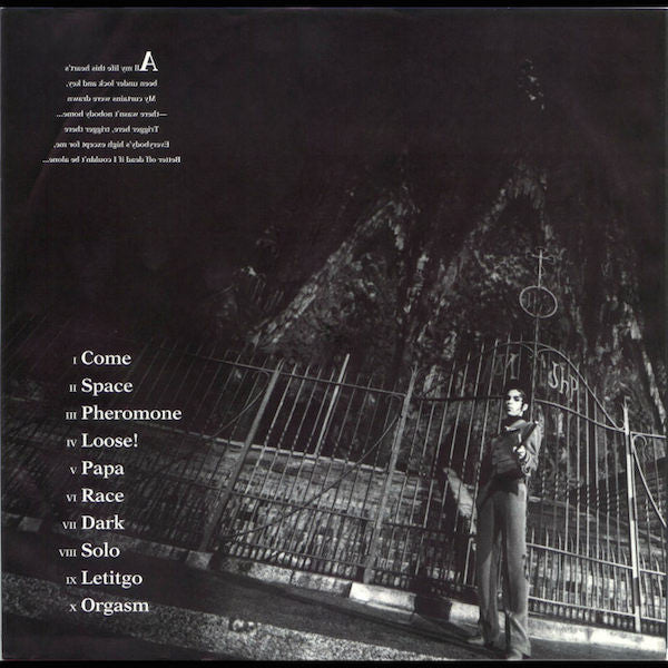 Prince - Come