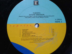 Narada Michael Walden - Divine Emotion