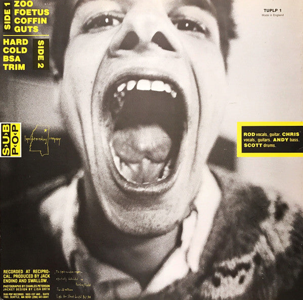 Swallow (3) - Swallow