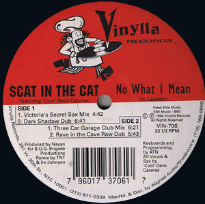 Scat In The Cat - No What I Mean