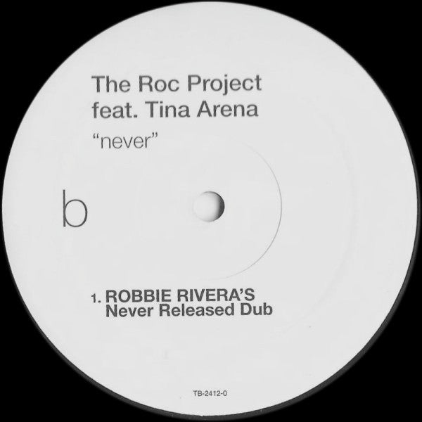 The Roc Project - Never (Robbie Rivera's Remixes)