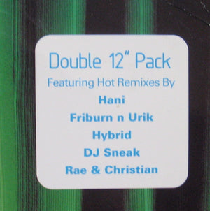 DJ Rap - Everyday Girl / Bad Girl - The Remixes