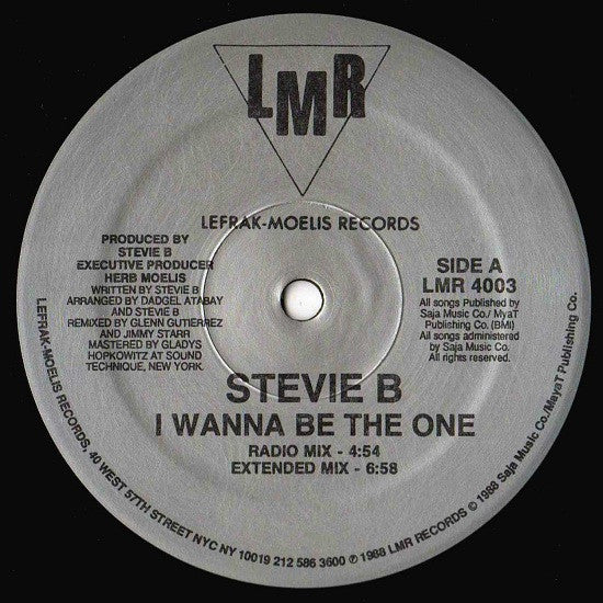 Stevie B - I Wanna Be The One Vinyl Record