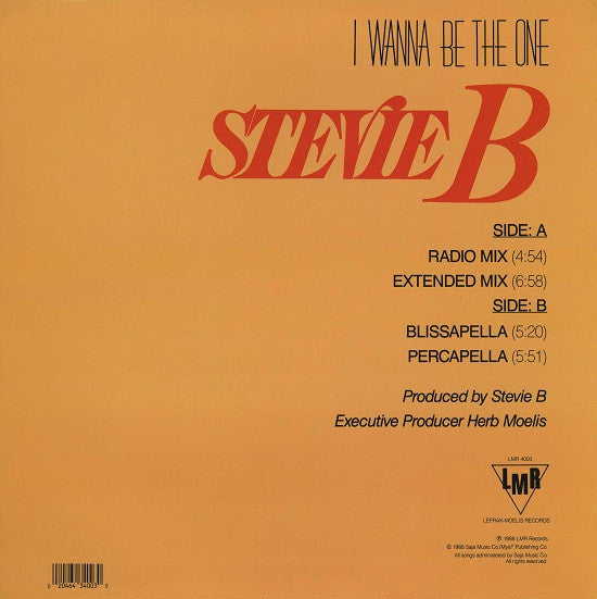 Stevie B - I Wanna Be The One Vinyl Record