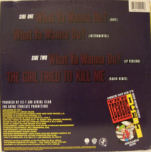 Ice-T - What Ya Wanna Do?