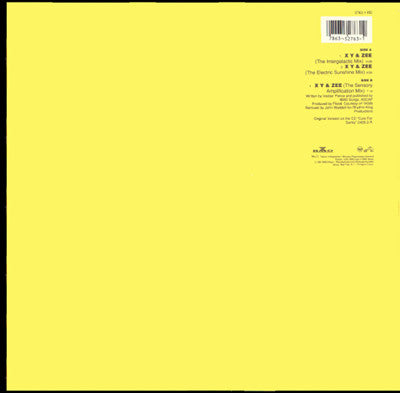 Pop Will Eat Itself - X Y & Zee