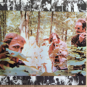 Insect Trust, The - The Insect Trust -