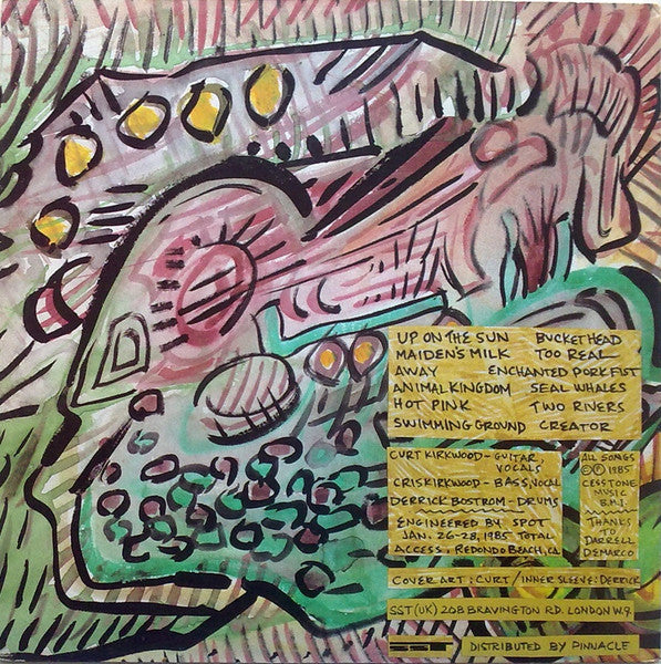 Meat Puppets - Up On The Sun - 1985