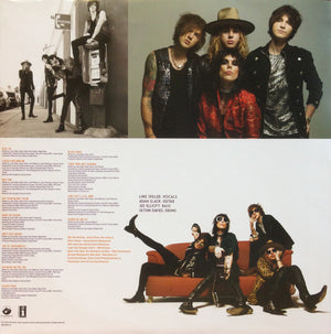 Struts (3), The - Everybody Wants - 2016