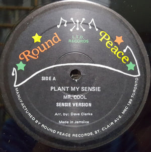 Mr.Cool (3) - Plant My Sensie