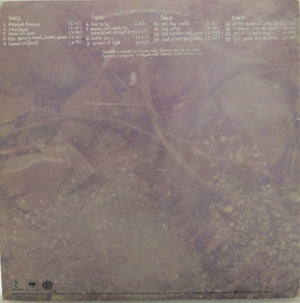 Bruce Cockburn - Circles In The Stream