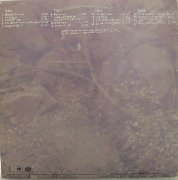 Bruce Cockburn - Circles In The Stream