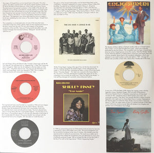 Greg Belson - Divine Disco (American Gospel Disco - 1974 To 1984) - 2016