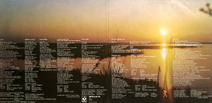 Babe Ruth - Amar Caballero