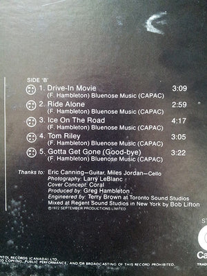 Fergus Hambleton - Town Of Fergus