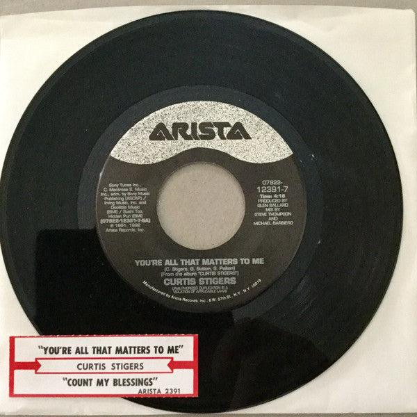 Curtis Stigers - You're All That Matters To Me