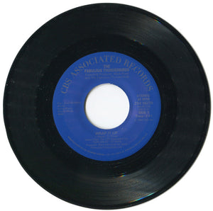 Fabulous Thunderbirds, The - Wrap It Up / True Love - 1986