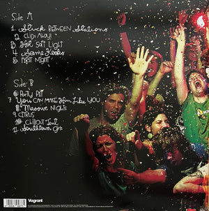 The Hold Steady - Boys And Girls In America Vinyl Record