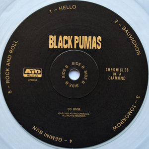 Black Pumas - Chronicles Of A Diamond