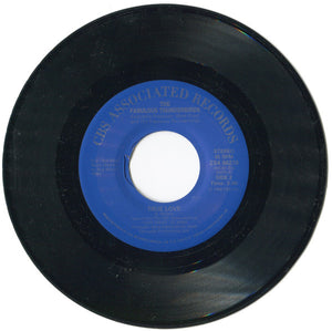 Fabulous Thunderbirds, The - Wrap It Up / True Love - 1986