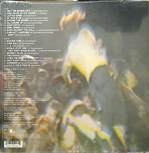 Circle Jerks - Gig - 2018