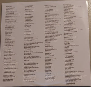 Sufjan Stevens - Carrie & Lowell -