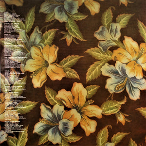 Jimmie Spheeris - The Original Tap Dancing Kid