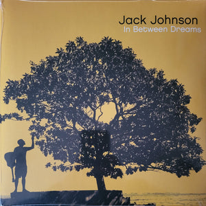 Jack Johnson - In Between Dreams