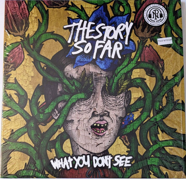 The Story So Far (2) - What You Don't See