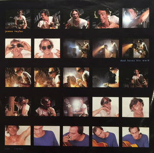 James Taylor - Dad Loves His Work Vinyl Record