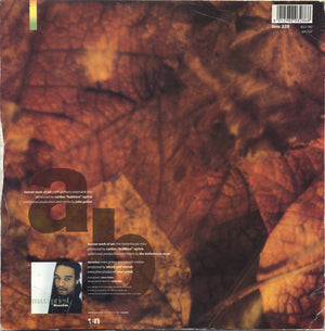 Maxi Priest - Human Work Of Art