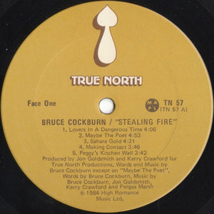 Bruce Cockburn - Stealing Fire - 1984