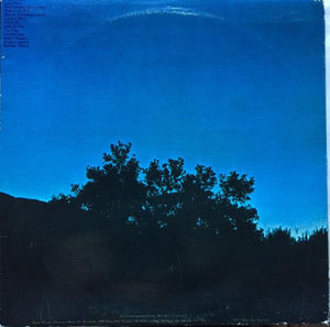 Arlo Guthrie - Last Of The Brooklyn Cowboys 1973 - Quarantunes