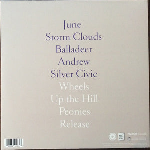 Charlotte Cornfield - The Shape Of Your Name