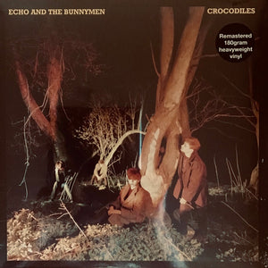Echo & The Bunnymen - Crocodiles - 2021